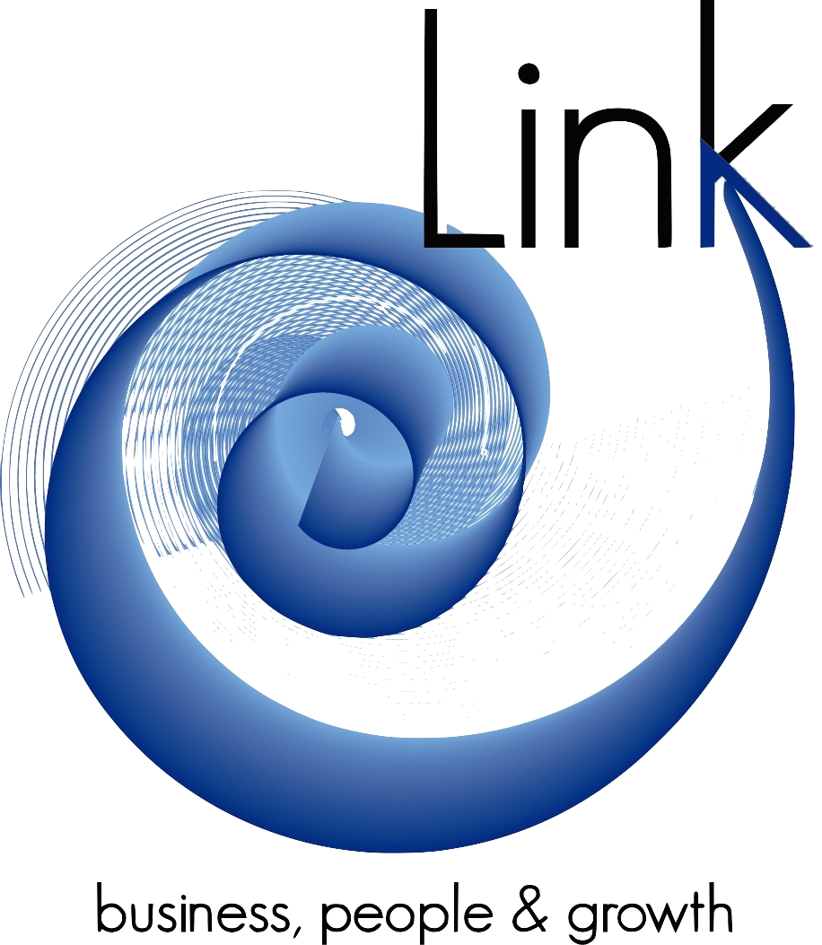 Inicio - Link Consultores